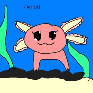 axolotl  sumo work created by 