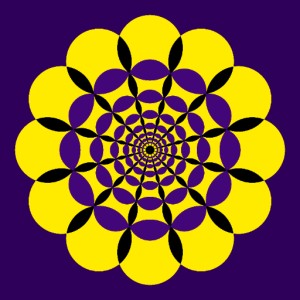 Purple/Yellow/Black Mandala  sumo work created by 