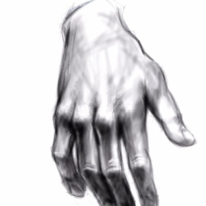Hand Drawing Study  sumo work created by 