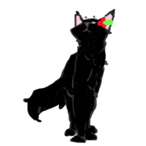 Hollyleaf(From real books)  sumo work created by 