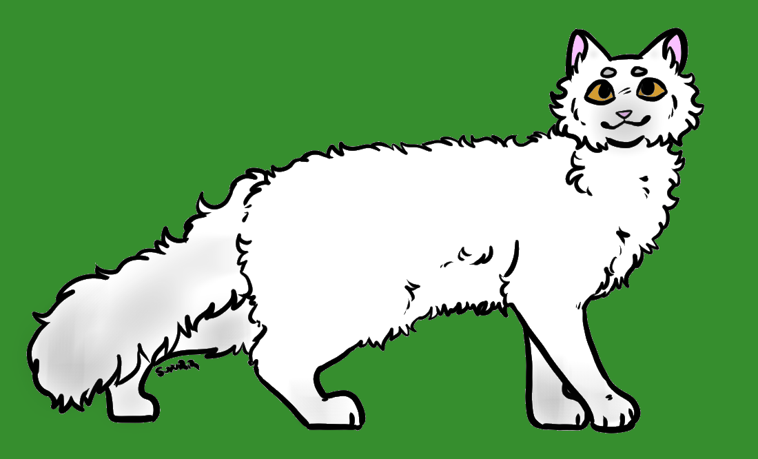 Saul&#039;s Cat - created by Brightnettle with paint