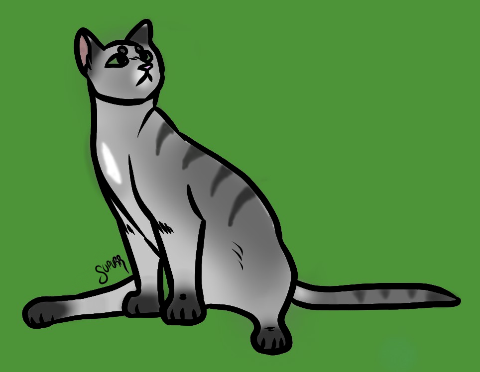 Isiah&#039;s Cat - created by Brightnettle with paint