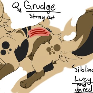 My warrior cat oc  sumo work created by 