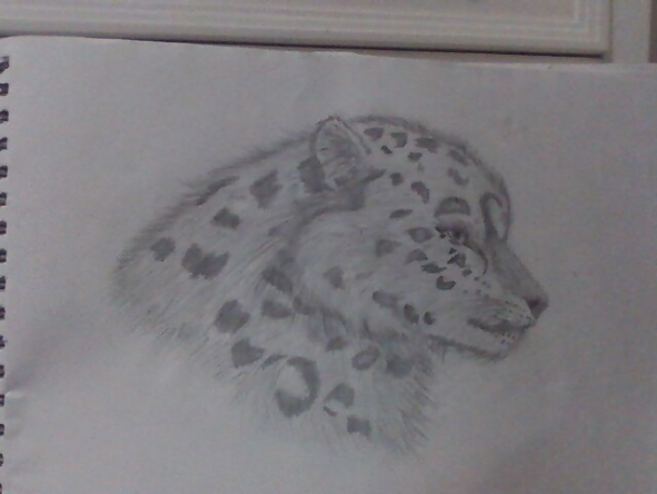 Snow Leopard - created by Lonlykim with paint