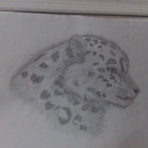 Snow Leopard  sumo work created by 
