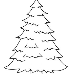 tree.png  sumo work created by 