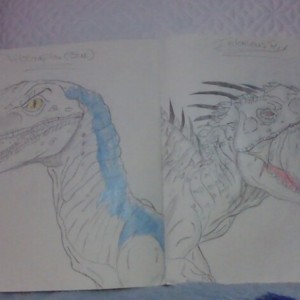 Velociraptor(Blue)&amp; Indominus Rex  sumo work created by 