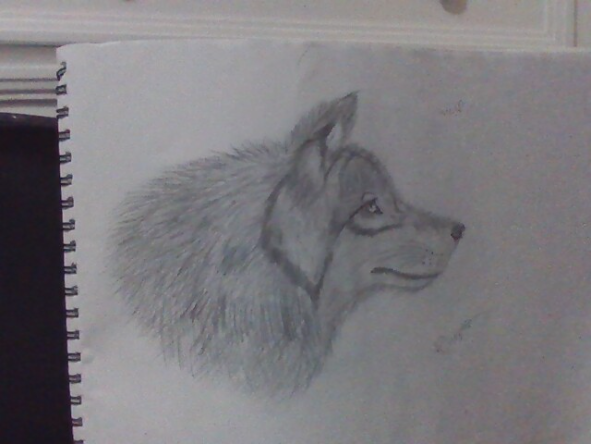 Wolf - được tạo bởi Lonlykim với paint