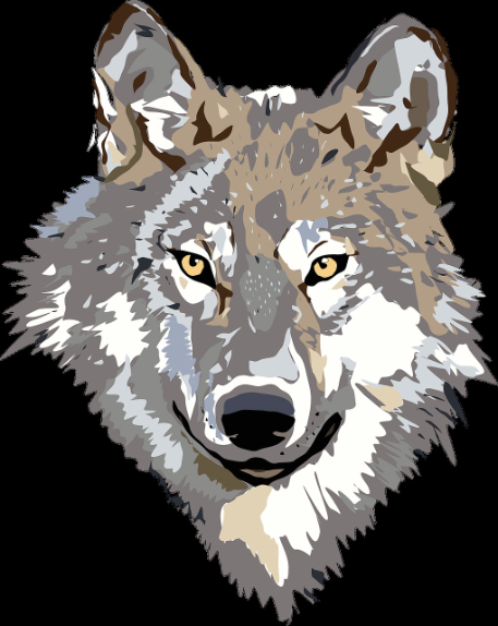 Wolf Image - oprettet af Sparkle_GURL/1234 med paint