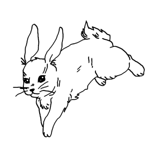 Year of the Water Rabbit - creado por Leafstorm con paint